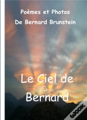 Capa do artigo Ciel De Bernard