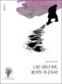 Ciel Déchiré, Après La Pluie - Preview