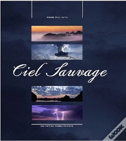 Capa do artigo Ciel Sauvage