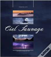 Capa do artigo Ciel Sauvage