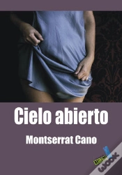 Capa do artigo Cielo Abierto