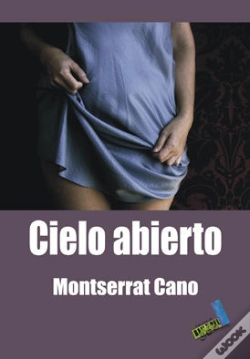 Capa do artigo Cielo Abierto