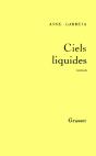 Ciels Liquides - Preview