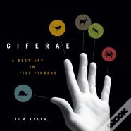 Ciferae