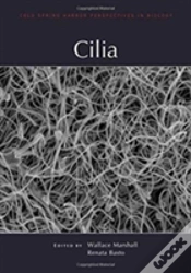 Capa do artigo Cilia