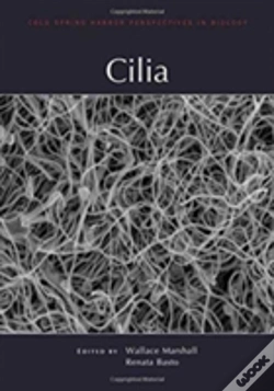 Capa do artigo Cilia