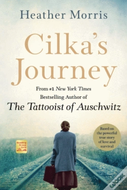 Capa do artigo Cilka'S Journey