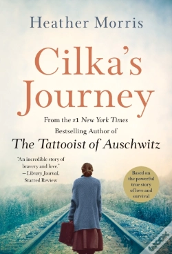 Capa do artigo Cilka'S Journey