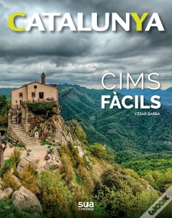 Capa do artigo Cims Faciles