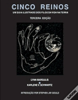 Capa do artigo Cinco Reinos