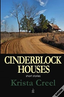 Capa do artigo Cinderblock Houses