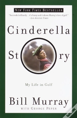 Capa do artigo Cinderella Story