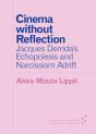 Cinema Without Reflection - Preview