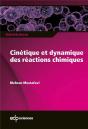 Cinétique Et Dynamique Des Réactions Chimiques - Preview