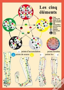 Capa do artigo Cinq Elements En Acuponcture - Pl. A4