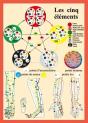 Cinq Elements En Acuponcture - Pl. A4 - Preview