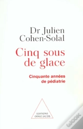 Cinq Sous De Glace