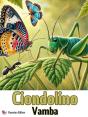 Ciondolino - Preview