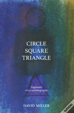 Capa do artigo Circle Square Triangle