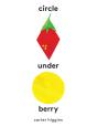 Circle Under Berry - Preview