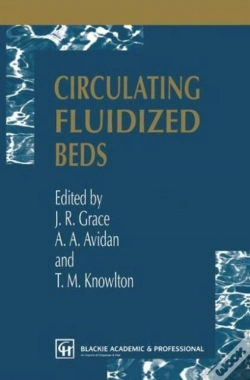 Capa do artigo Circulating Fluidized Beds