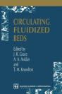 Circulating Fluidized Beds - Preview