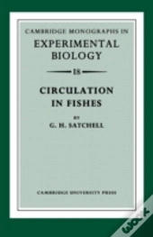 Circulation In Fishes