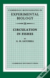 Circulation In Fishes
