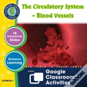 Capa do artigo Circulatory, Digestive & Reproductive Systems