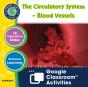 Circulatory, Digestive & Reproductive Systems - Preview