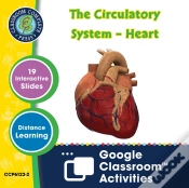 Capa do artigo Circulatory, Digestive & Reproductive Systems