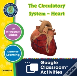 Capa do artigo Circulatory, Digestive & Reproductive Systems