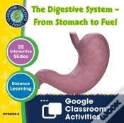 Capa do artigo Circulatory, Digestive & Reproductive Systems