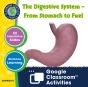 Circulatory, Digestive & Reproductive Systems - Preview
