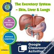 Capa do artigo Circulatory, Digestive & Reproductive Systems