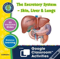 Capa do artigo Circulatory, Digestive & Reproductive Systems