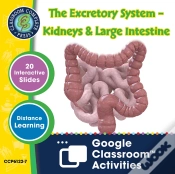 Capa do artigo Circulatory, Digestive & Reproductive Systems