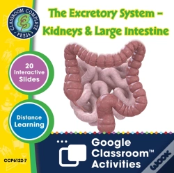 Capa do artigo Circulatory, Digestive & Reproductive Systems