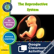 Capa do artigo Circulatory, Digestive & Reproductive Systems