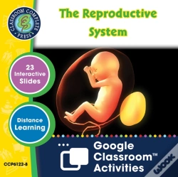Capa do artigo Circulatory, Digestive & Reproductive Systems
