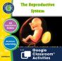 Circulatory, Digestive & Reproductive Systems - Preview