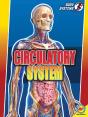 Circulatory System - Preview