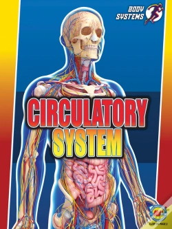 Capa do artigo Circulatory System