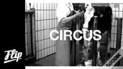 Capa do artigo Circus