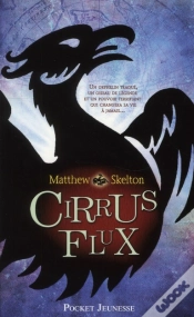 Capa do artigo Cirrus Flux