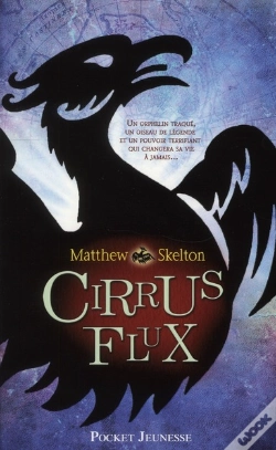 Capa do artigo Cirrus Flux