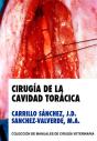 Cirugia De La Cavidad Toracica - Preview
