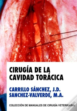 Capa do artigo Cirugia De La Cavidad Toracica