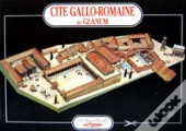 Cité Gallo-Romaine De Glanum ; Provence