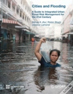 Capa do artigo Cities And Flooding